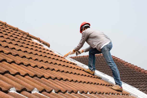 Best Commercial Roofing Services  in Sumner, IL