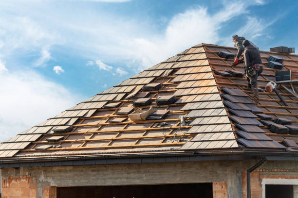 Best Roof Insulation Installation  in Sumner, IL