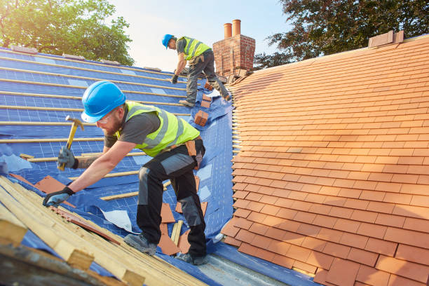 Best Roof Maintenance and Cleaning  in Sumner, IL